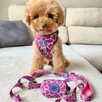 Arnés Animal Print Morado