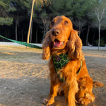 Arnés Animal Print Verde