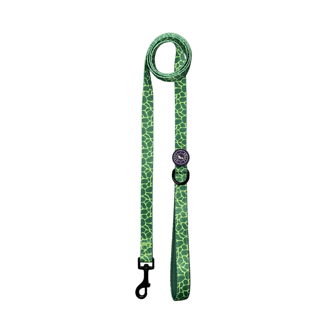 Correa Animal Print Verde