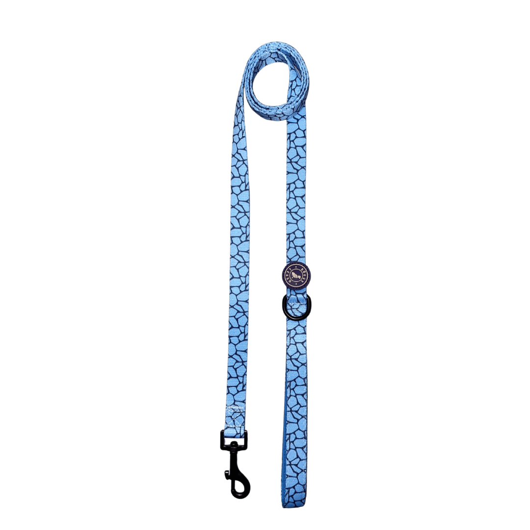 Correa Animal Print Azul