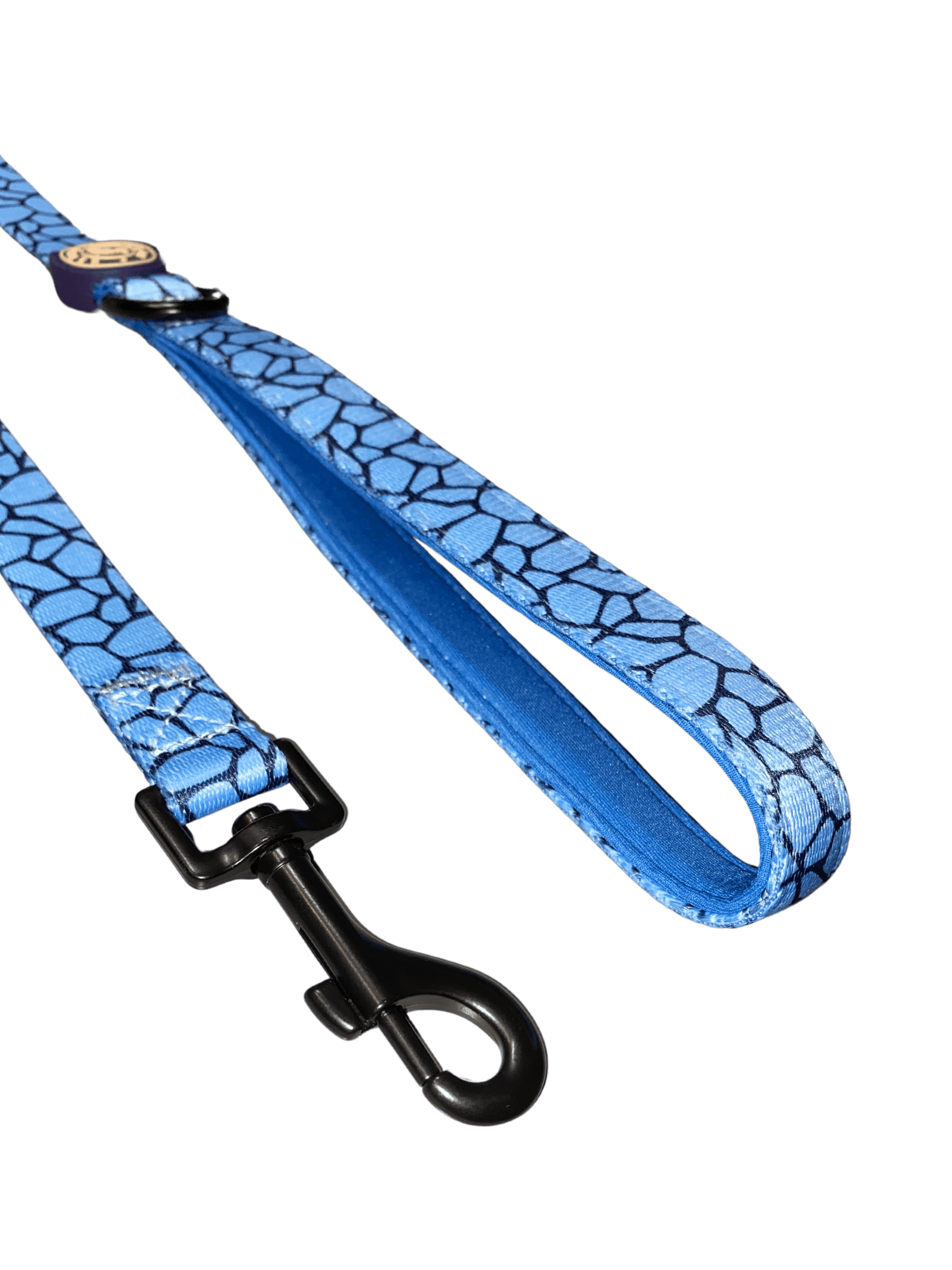 Correa Animal Print Azul