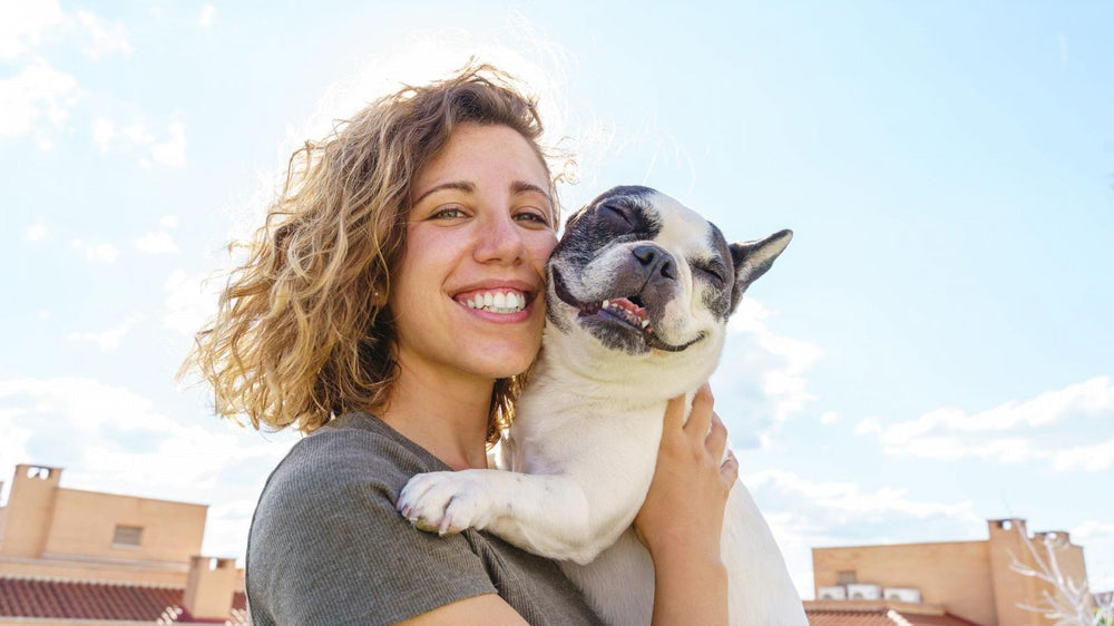 ¿Por qué los veterinarios recomiendan usar arneses?