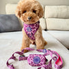Arnés Animal Print  Morado