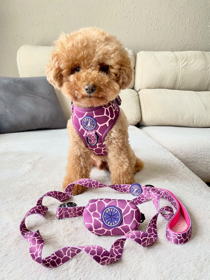 Correa Animal Print Morada